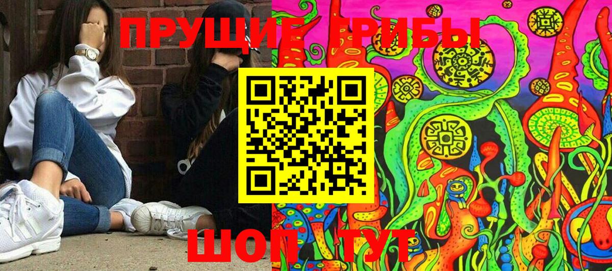 Галлюциногенные грибы Cubensis  Псилоцибиновые грибы прущие грибы  Вход с VPN  Лосино-Петровский 